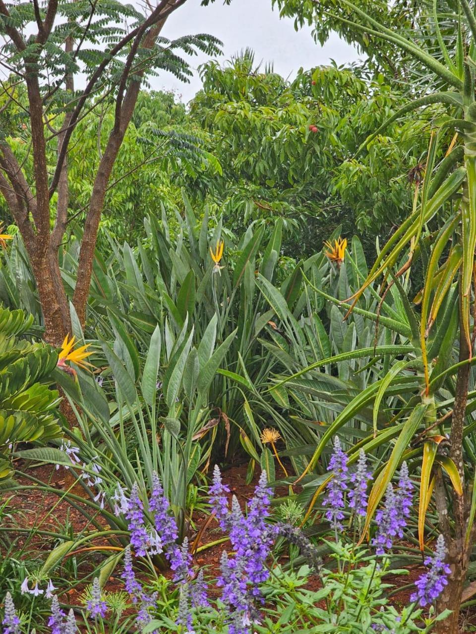 Tzaneen White House Lodge 外观 照片