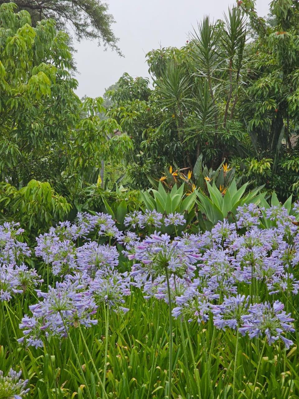 Tzaneen White House Lodge 外观 照片